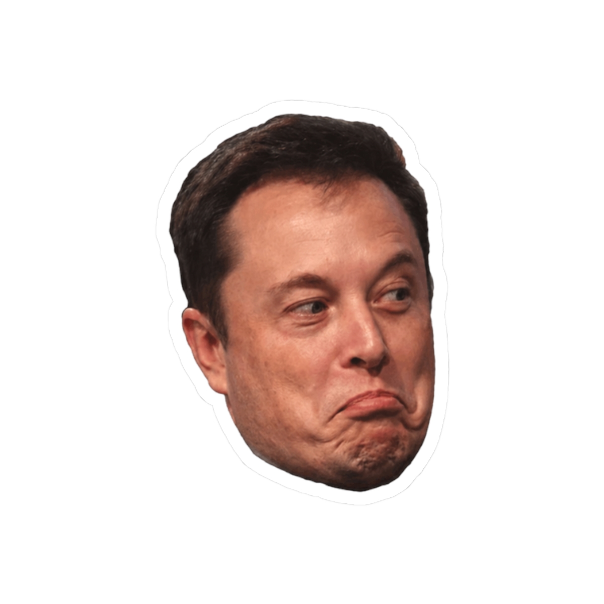 Elon Musk Meme Sticker | Funny Vinyl Decal for Tech Fans - alternate angle 3, merchandise